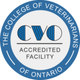 The College of Veterinarians of Ontario 